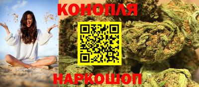 гашик Будённовск