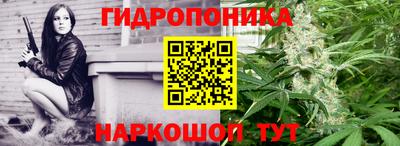 гашик Будённовск