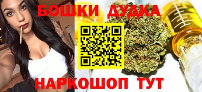 гашик Будённовск