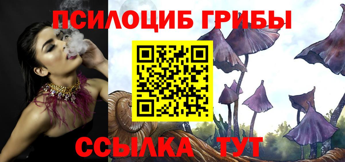 сколько стоит  Галлюциногенные грибы мухоморы  Вход с VPN  Юрга 